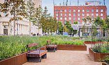Plac Powsta�c�w Warszawy zmieni� si� nie do poznania. Tysi�ce ro�lin i nowa pergola