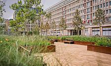 Plac Powsta�c�w Warszawy zmieni� si� nie do poznania. Tysi�ce ro�lin i nowa pergola