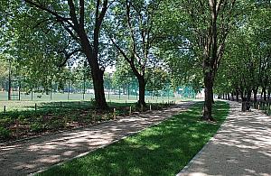 Sportowy bubel na Pradze-Po�udnie czy tylko pechowa seria usterek?