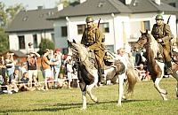 Piknik w Łomiankach. Samoloty, rekonstrukcja i atrakcje dla dzieci