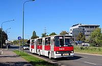 Zabytkowe autobusy wyjadą na ulice Grodziska. Przejazdy linią K będą bezpłatne