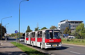 Zabytkowe autobusy wyjadą na ulice Grodziska. Przejazdy linią K będą bezpłatne