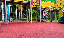 Park Henrykowski się zmienia. Co już zrobiono, a co przed nami?