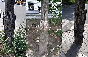 Przy Ogrodowej stare, pop�kane i skorodowane latarnie. Kiedy ich wymiana?