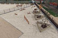 Nowy park na Tarchominie gotowy. Nie chodzi o park Botewa, a miejsce dla... psów?