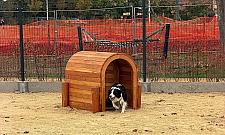 Nowy park na Tarchominie gotowy. Nie chodzi o park Botewa, lecz o miejsce dla... ps�w?