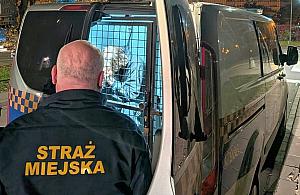 17-latek podejrzany o dewastacj� budynk�w i miejskiej infrastruktury